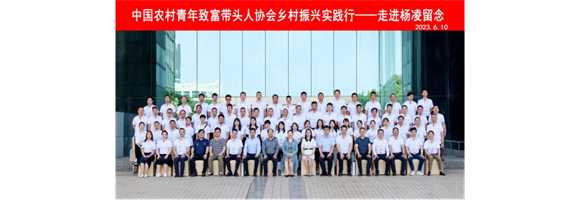 沙漠玉米——聚焦農業現代化 助力鄉村振興的最美詮解